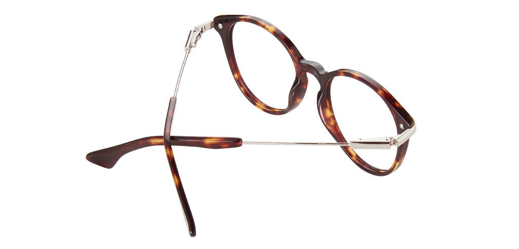 Tortoise_Brown_with_Silver