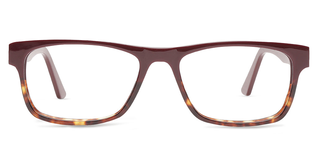 Red_Tortoise_With_Red