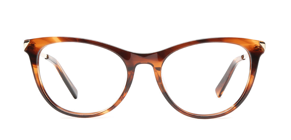 Brown_Tortoise_With_Gold