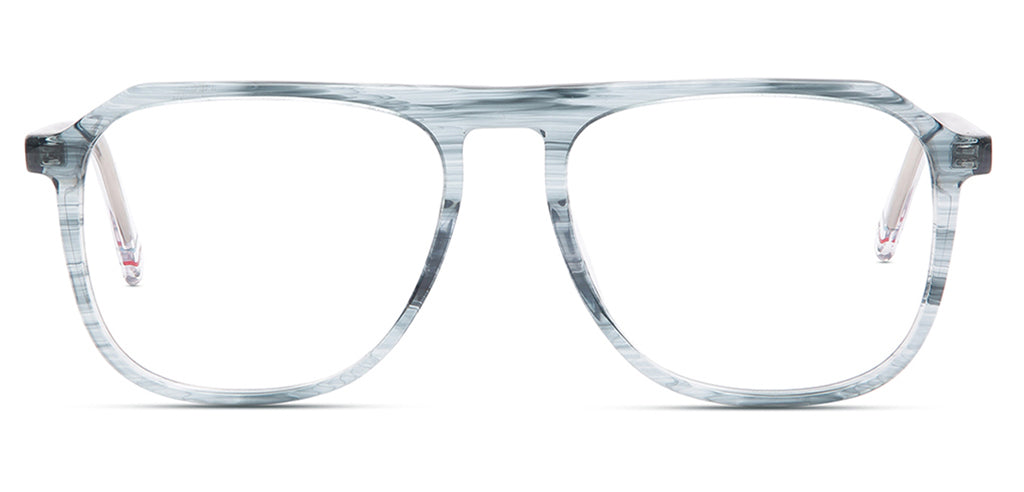 Tortoise_Blue_With_White