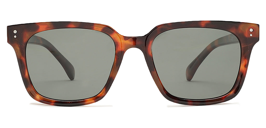 Brown_Demi_with_Grey_Lens