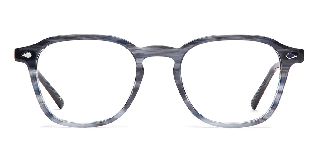 Blue_Tortoise_With_Blue