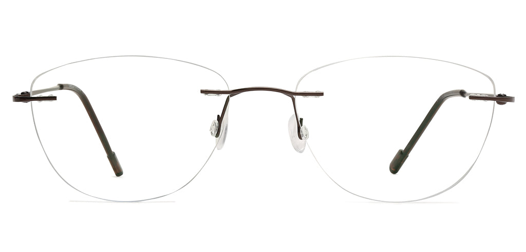 Glossy_Brown_With_Brown