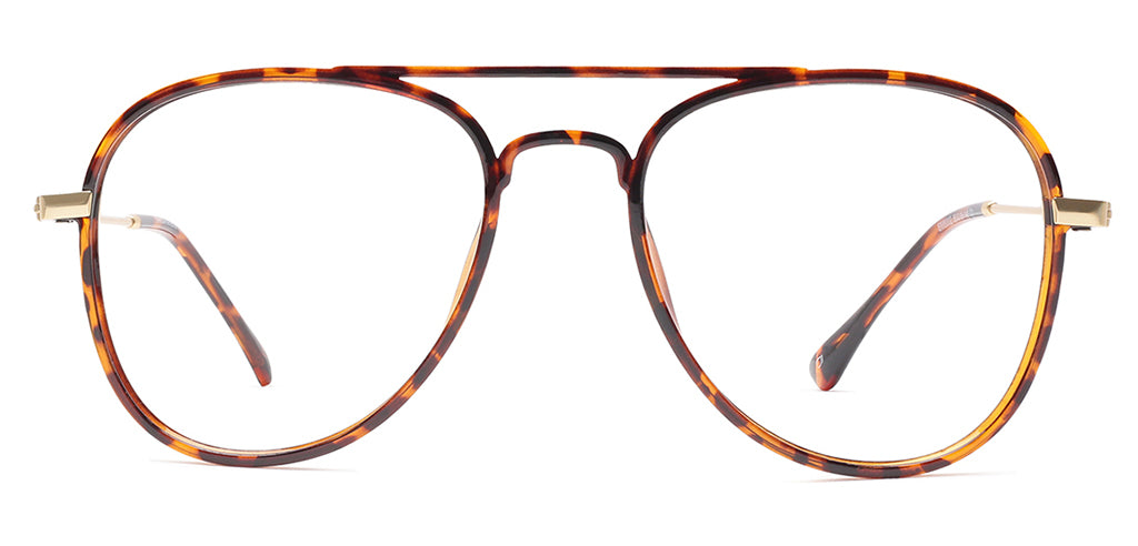 Brown_Tortoise_With_Gold