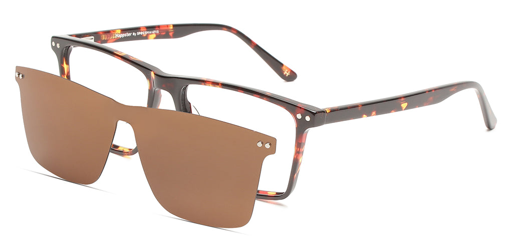 Tortoise_Brown_With_Tortoise