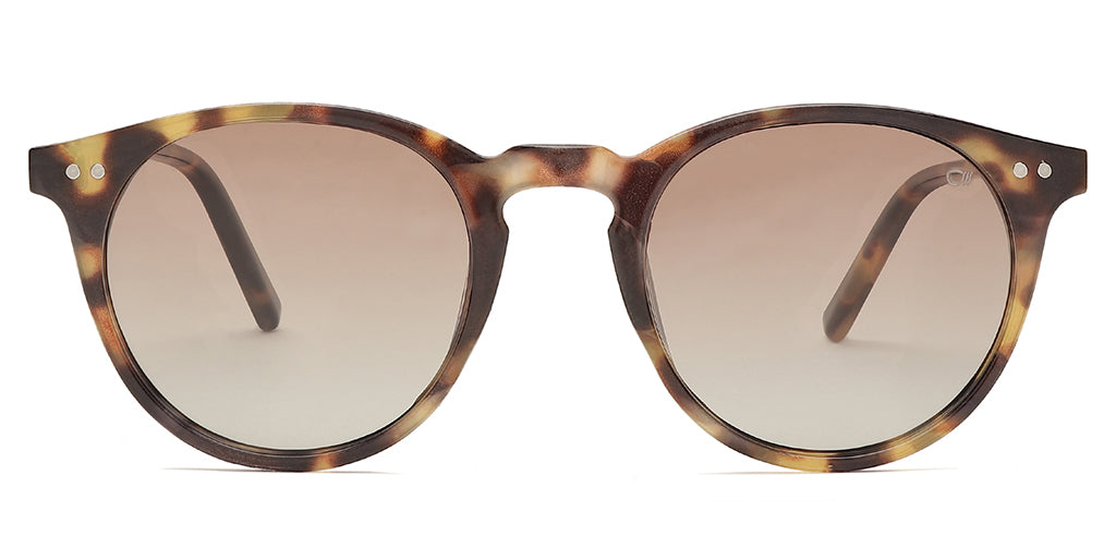 Brown_Demi_with_Brown_Lens