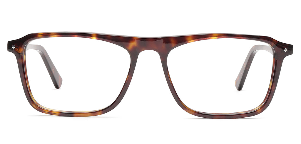 Tortoise_Brown_With_Tortoise