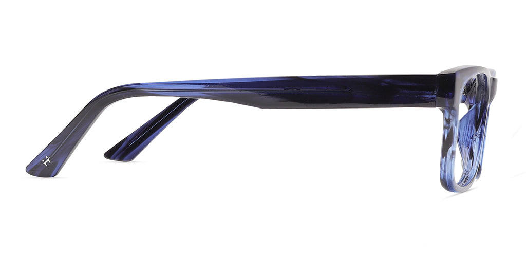 Blue_Tortoise_With_Blue