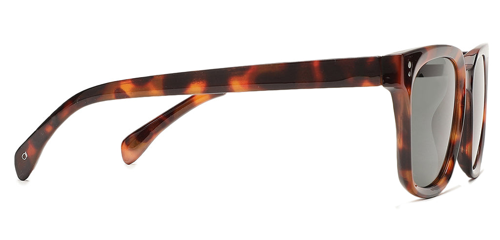 Brown_Demi_with_Grey_Lens