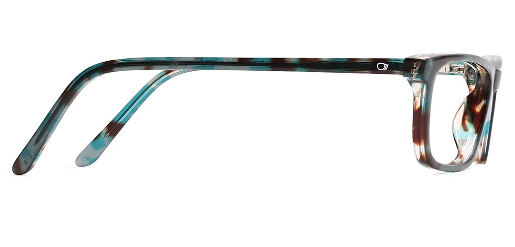 Multicolour_Tortoise_With_Multicolor