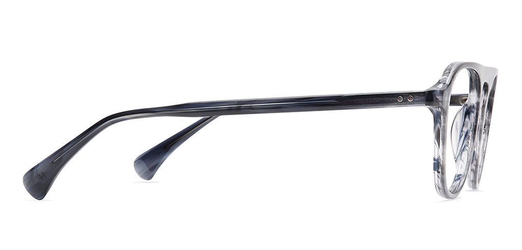 Blue_Tortoise_With_Blue