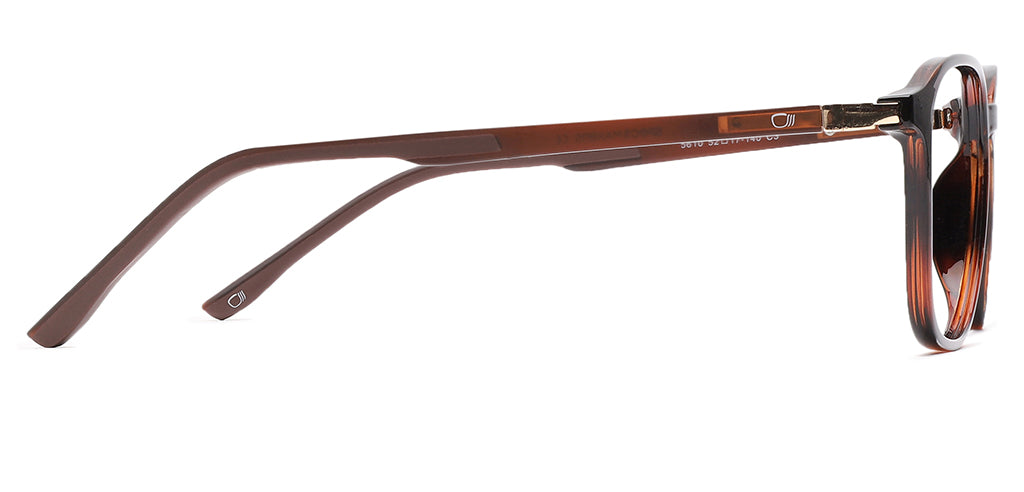 Tottoise_Brown_With_Brown