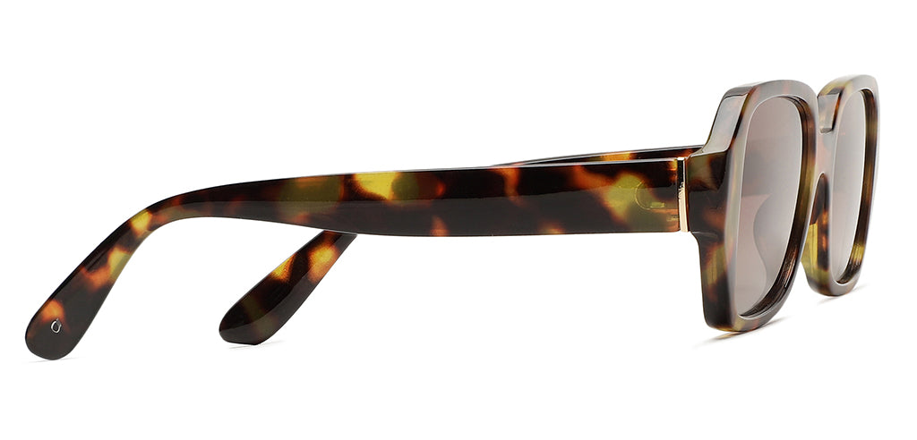 Brown_Demi_with_Brown_Lens