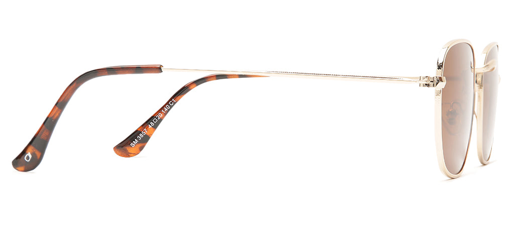 Gold_with_Brown_Lens