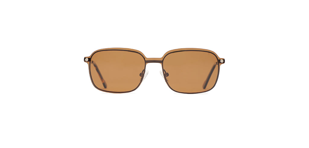 Glossy_Brown_With_Brown