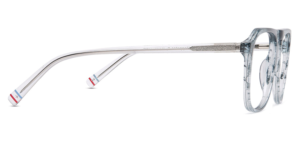 Tortoise_Blue_With_White