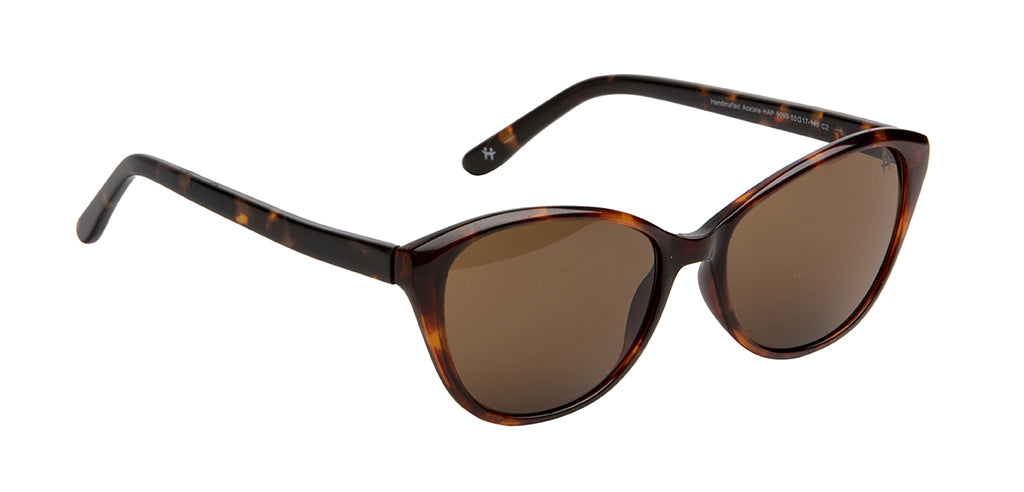 Glossy_Brown_Tortoise