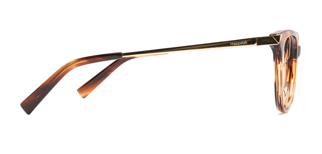 Brown_Tortoise_With_Gold