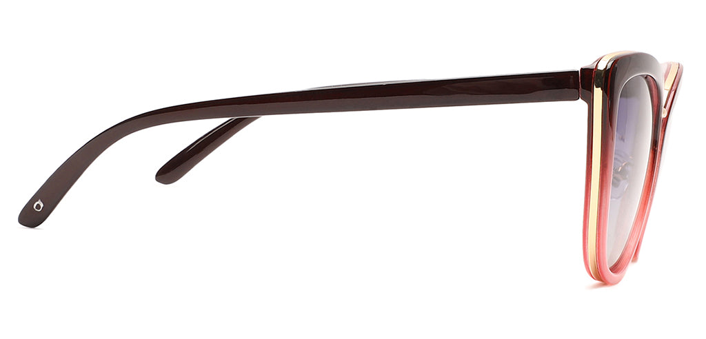 Brown_Gradal_with_Grey_Lens