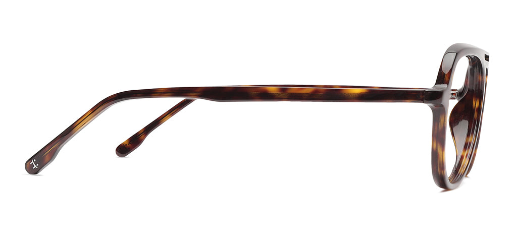 Tortoise_Brown_With_Tortoise