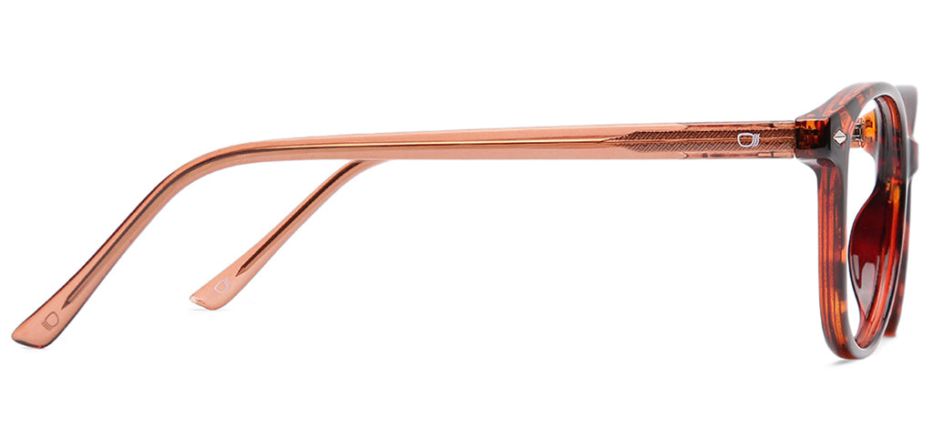 Brown_tortoise_with_Brown