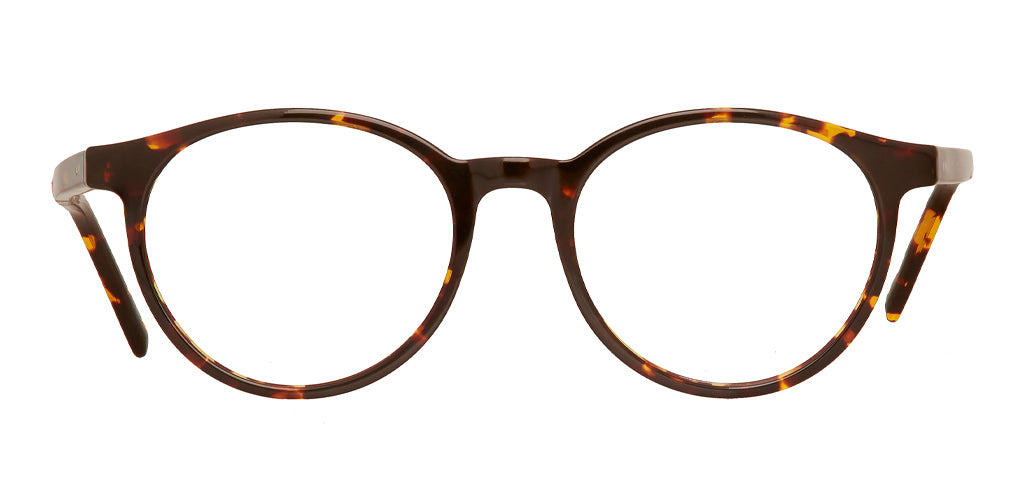 Tortoise_Brown_with_Tortoise