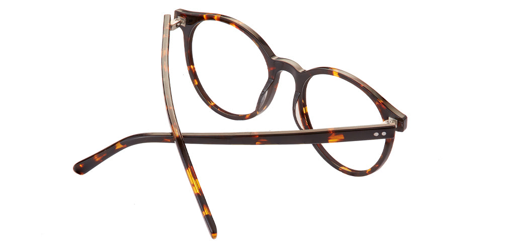 Tortoise_Brown_with_Tortoise