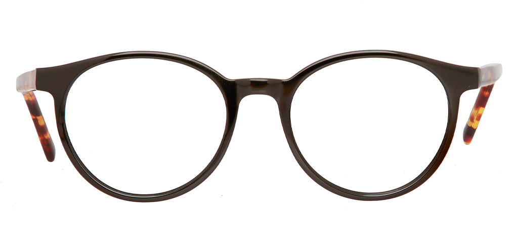 Glossy_Black_with_Tortoise