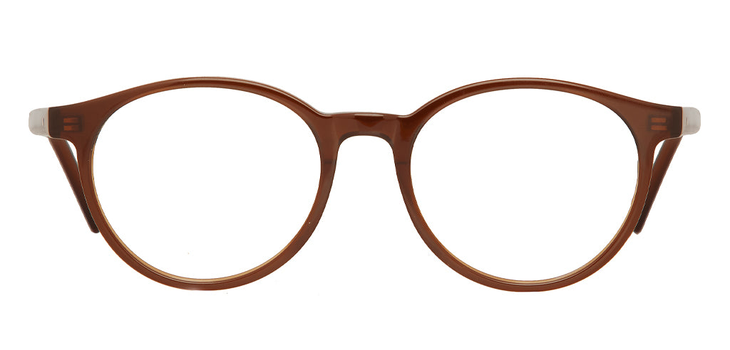 Glossy_Brown_with_Brown