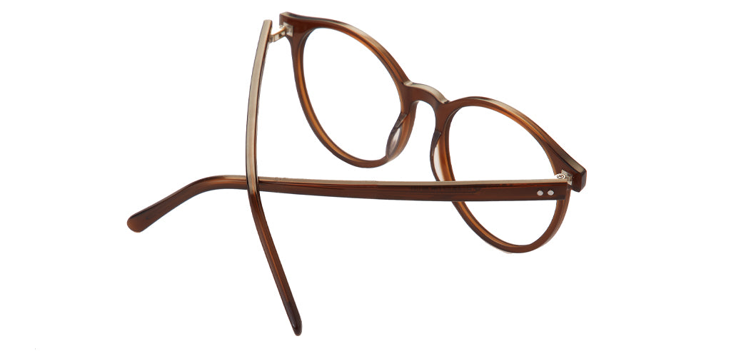 Glossy_Brown_with_Brown