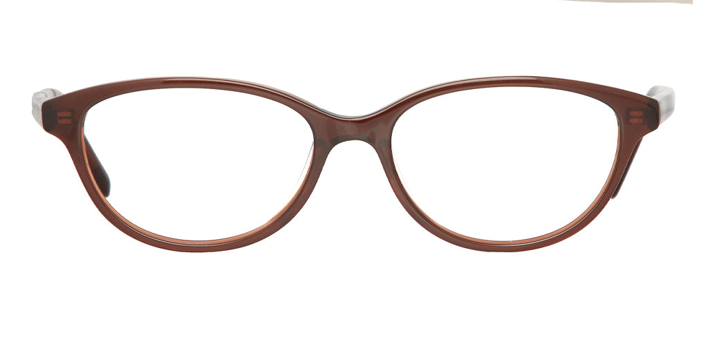 Glossy_Brown_with_Brown