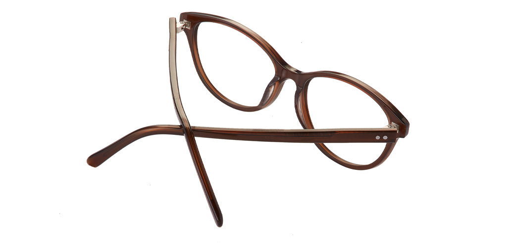 Glossy_Brown_with_Brown