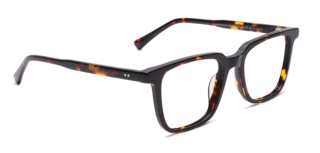 Brown_Tortoise_With_Tortoise