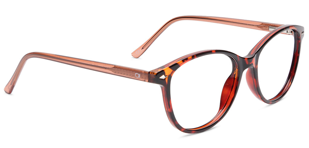 Brown_tortoise_with_Brown