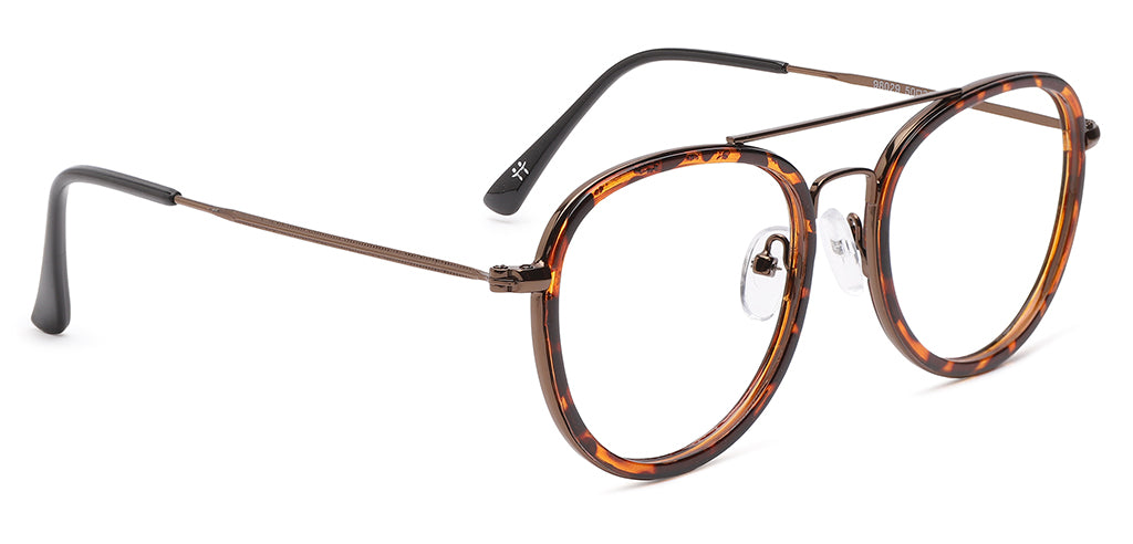 Tottoise_Brown_With_Brown