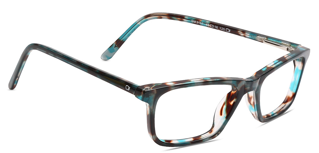 Multicolour Tortoise_With_Multicolor