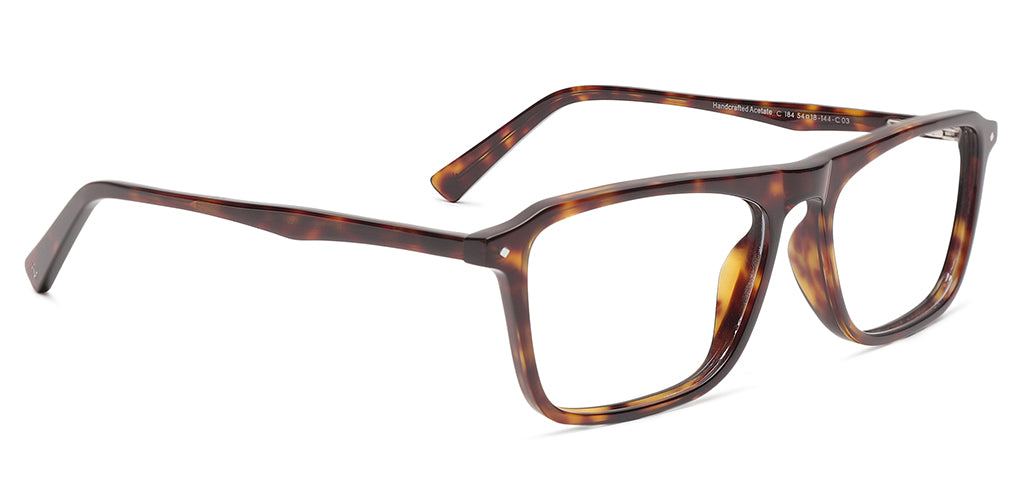 Tortoise_Brown_With_Tortoise