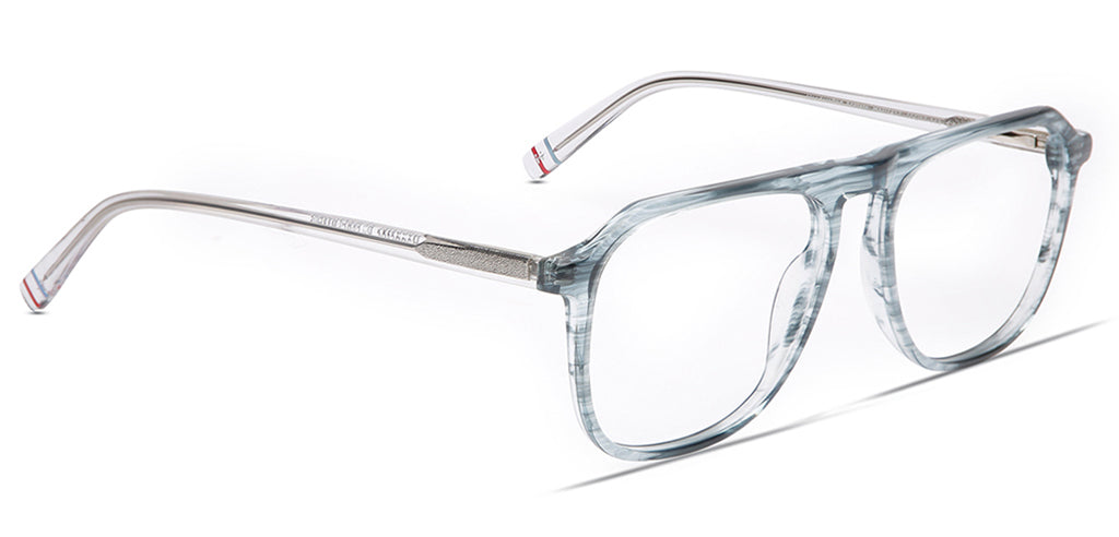 Tortoise_Blue_With_White