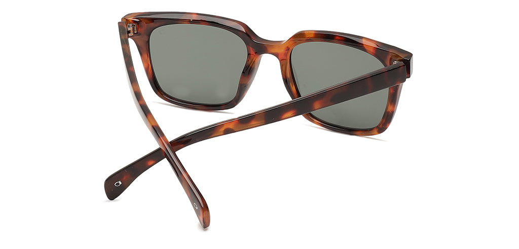 Brown_Demi_with_Grey_Lens