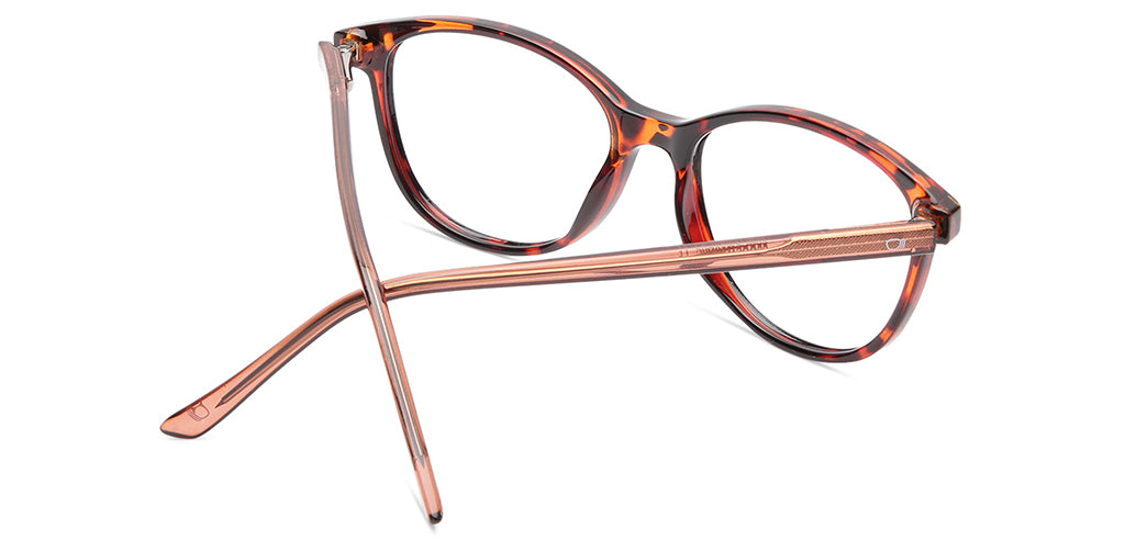 Brown_tortoise_with_Brown