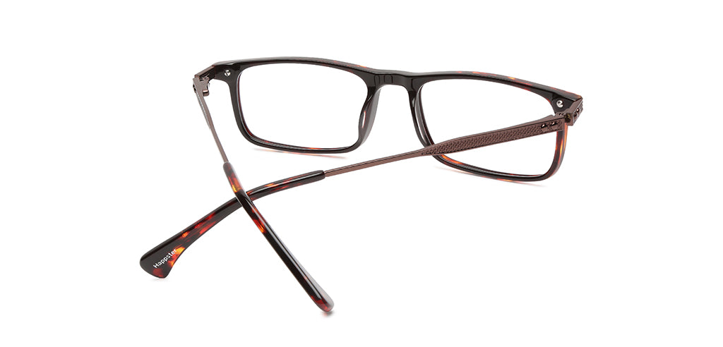 Brown_Tortoise_With_Brown