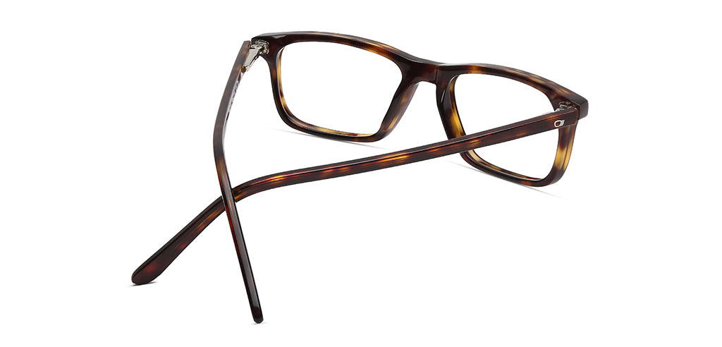 Brown_Tortoise_With_Tortoise