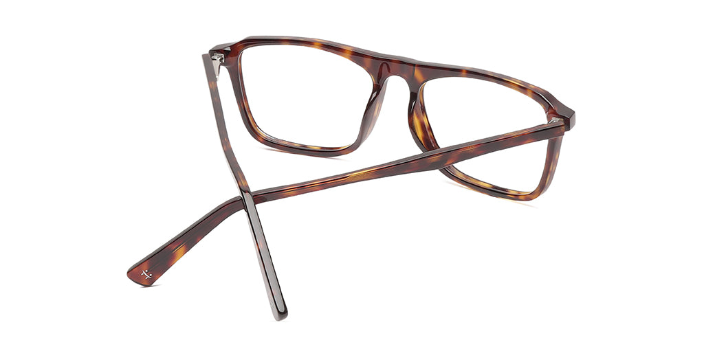 Tortoise_Brown_With_Tortoise