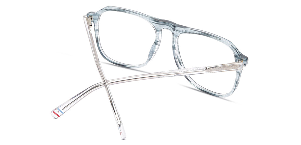 Tortoise_Blue_With_White