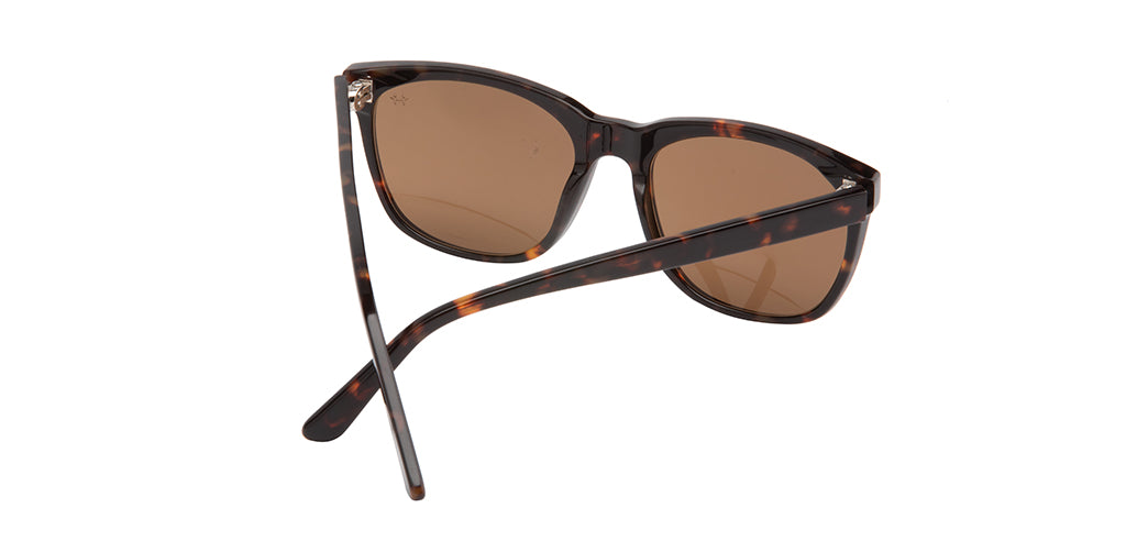 Glossy_Brown_with_Tortoise