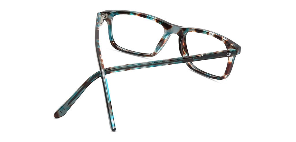 Multicolour_Tortoise_With_Multicolor