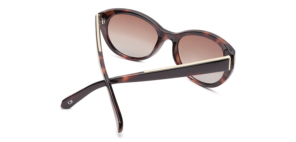 Brown_Demi_with_Brown_Lens