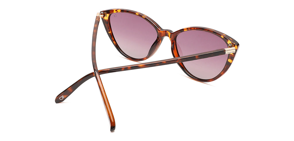 Brown_Demi_with_Grey_Lens