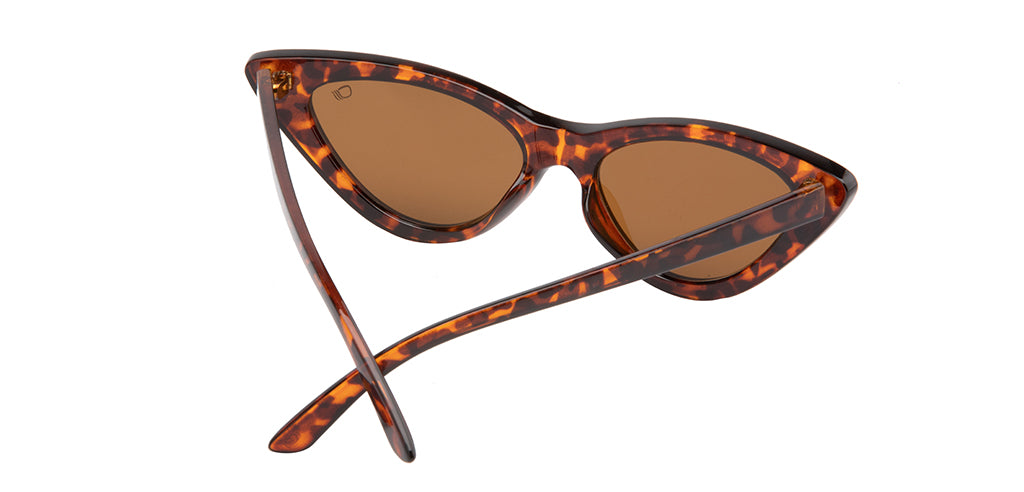 Brown_Demi_with_Demi_Lens