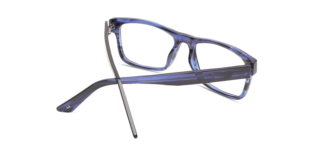 Blue_Tortoise_With_Blue